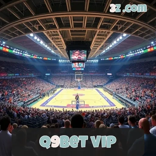 q9bet vip Loteria